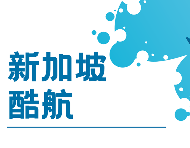 新年大减价｜新的一年，国内飞往新加坡有哪些航班呢？