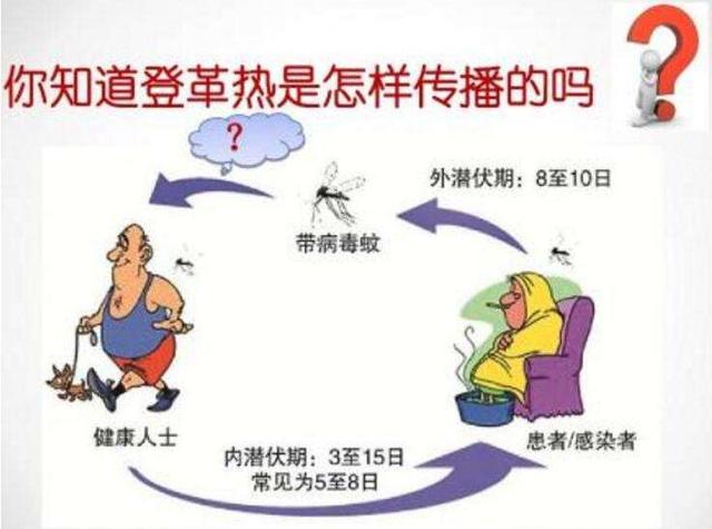 警惕！此地报告一例输入病例，曾去泰国
