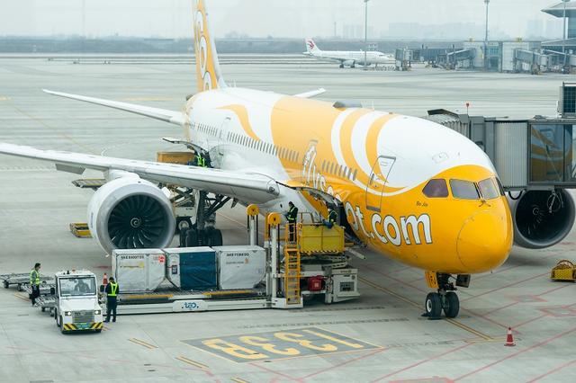 新加坡航线复航 青岛机场国际航线加速恢复