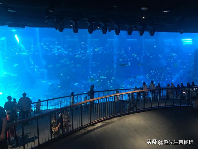 二十年游历分享之314：亚洲93：新加坡30 S.E.A海洋馆2 海洋之窗