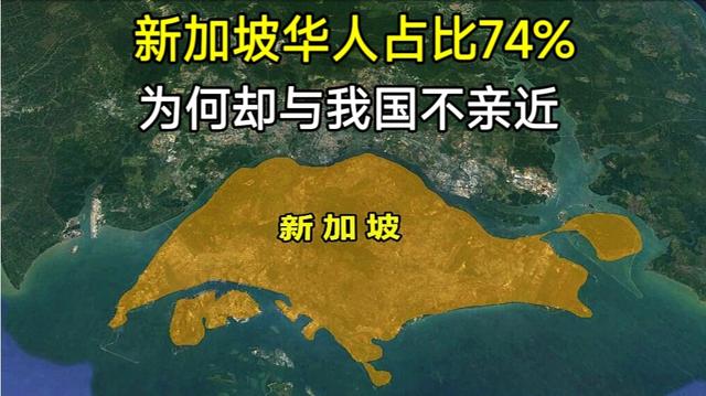 华人占比74%的新加坡，为何跟我们不亲近？又是怎样看待我们的？