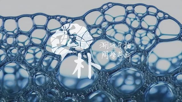 抉择：美国亚裔科学家与玻璃天花板