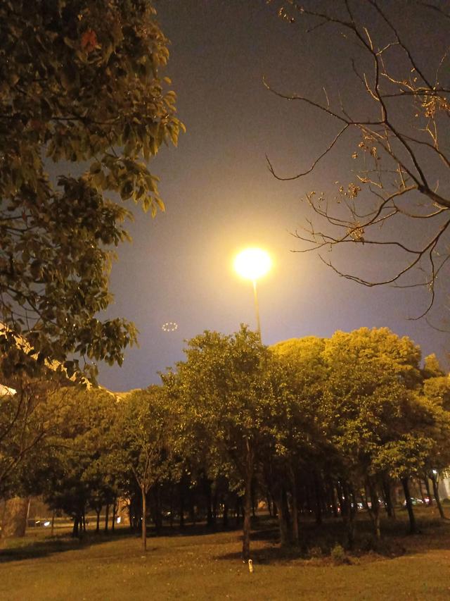 说说我在新加坡的经历…同事们抢着加班