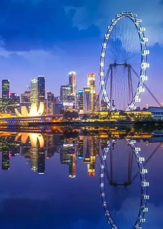 新加坡的“芽笼”是合法的