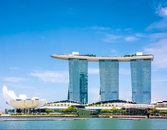 为什么是新加坡？