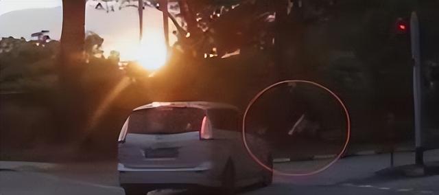 新加坡汽车直接撞飞闲庭信步的路人，目击者：人直接飞起来