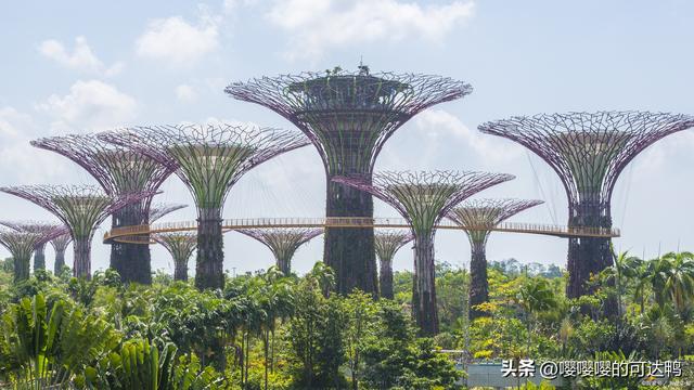 新加坡：一个全年无休的旅游胜地