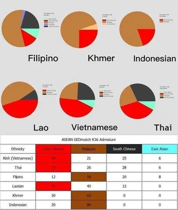 美国网友问：越南人认为他们的祖先是中国人吗？为什么？