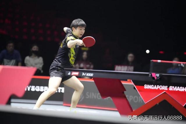 新加坡大满贯赛国乒包揽5冠，海产姐妹、胖头夺魁，孙颖莎3金在望