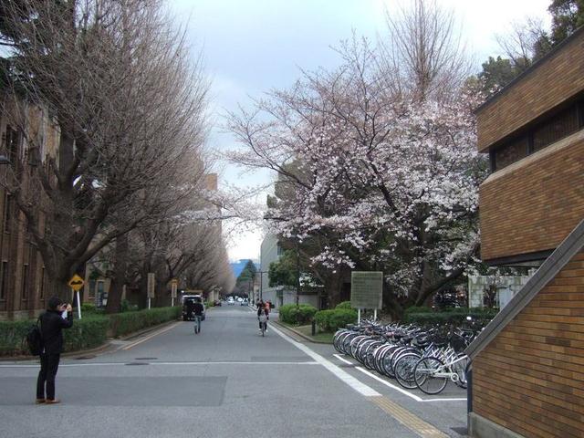 京都大学——日本超级国际化大学