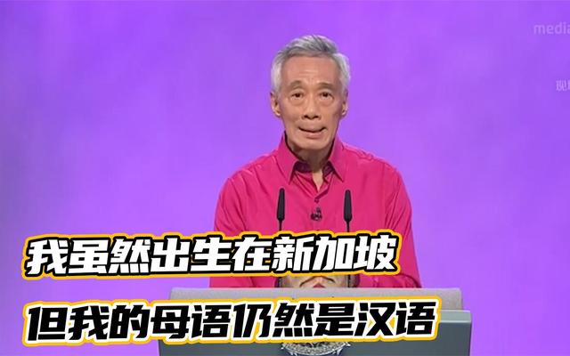 小国如何大外交，新加坡给各国打了个样