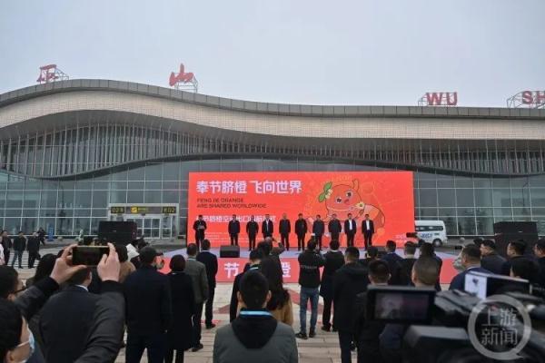 从田间到餐桌不到24小时，“奉节脐橙航班”首飞新加坡！