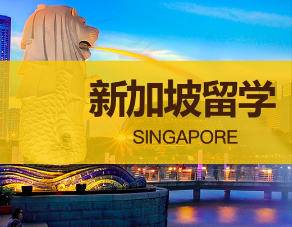 新加坡招收初中入读本科课程的学校