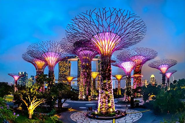 新加坡这个植物园，造价超过50亿新币，值得去看吗？