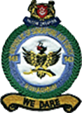 新加坡空军（2）——中央基地