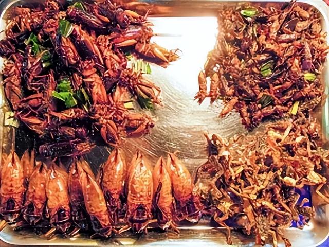 新加坡吃虫子，创新还是疯狂？多家餐馆非法售卖 引发争议