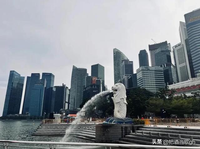 被称为“华人之光”的新加坡为什么能取得成功？