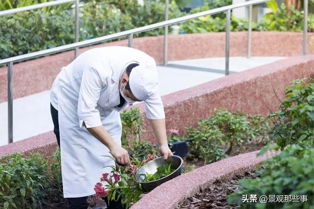 拥有8万株植物的 "亲自然 "摩天大楼落地！-新加坡CapitaSpring / BIG