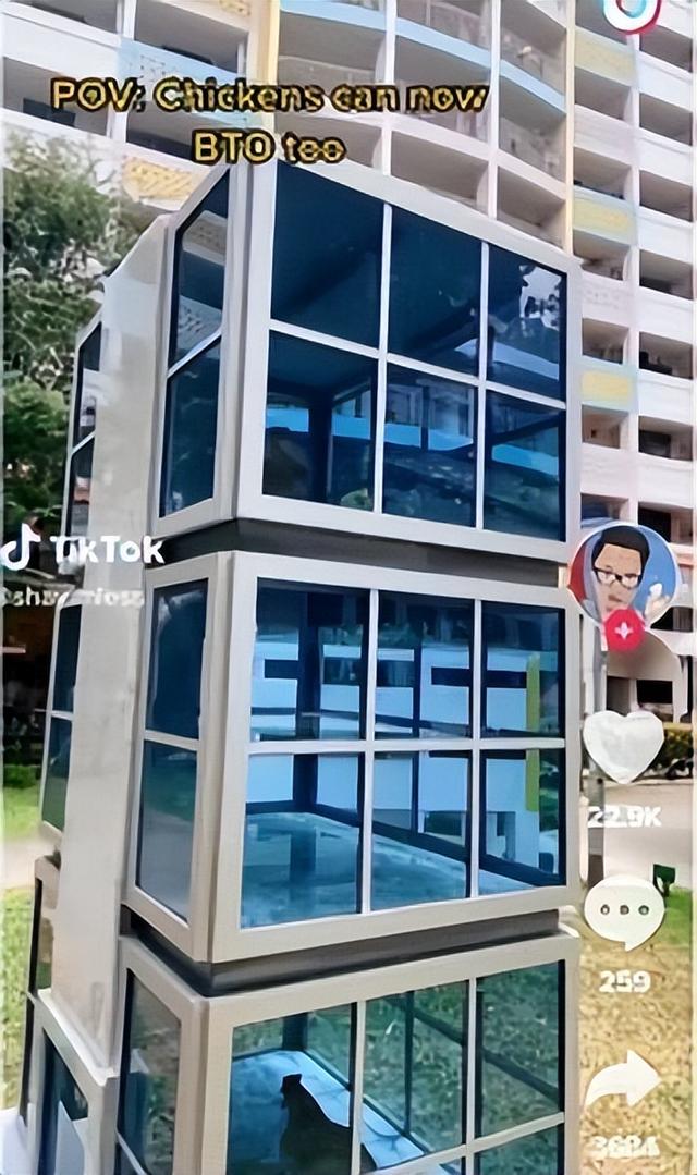 在新加坡做只鸡有多幸福！住豪华公寓！享网友流量！
