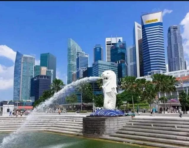 新加坡的“芽笼”是合法的
