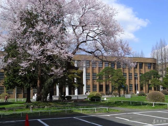 京都大学——日本超级国际化大学