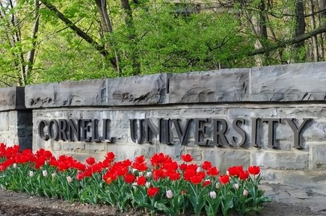 康奈尔大学——美国境内的一所私立综合类大学