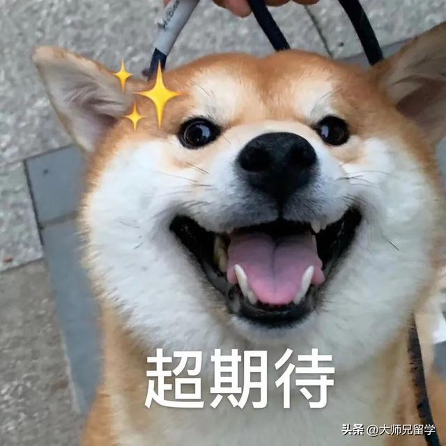 英澳美新加坡、中国香港等热门留学地2024申请时间详细汇总！