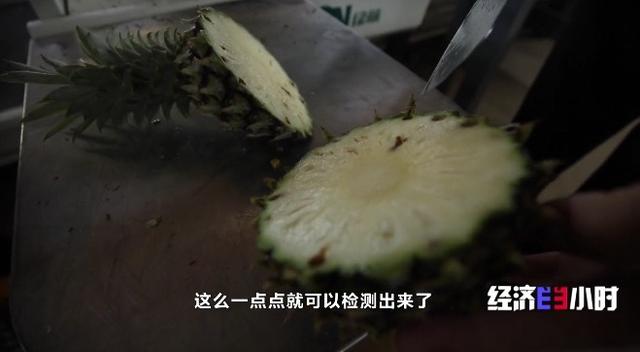 火出圈的湛江徐闻菠萝年产值超25亿元，对接RCEP出口新加坡