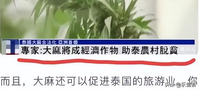 泰国20元男模餐厅爆火！网红居然冒死引流，等着被封杀？