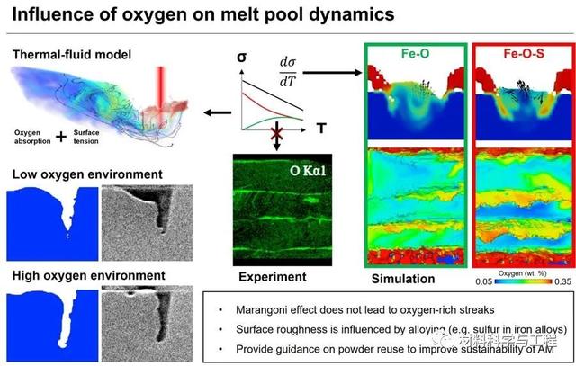 新加坡国立Acta Materialia：增材制造过程氧元素对熔池流动的影响