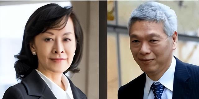 调查期间公开前总理子嗣名字违背新加坡法律，理由：潜逃出国