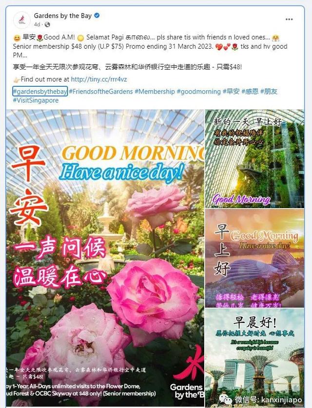 为拉客出大招！新加坡滨海湾花园推出“中老年表情包”