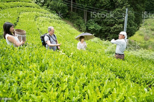 日本农村的真相佐证政府合村并镇的长远思考