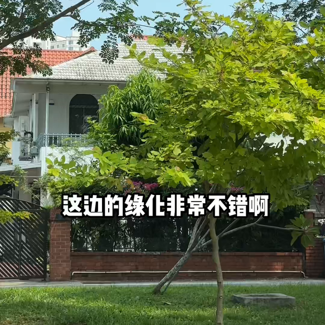 新加坡的一天#贾烽