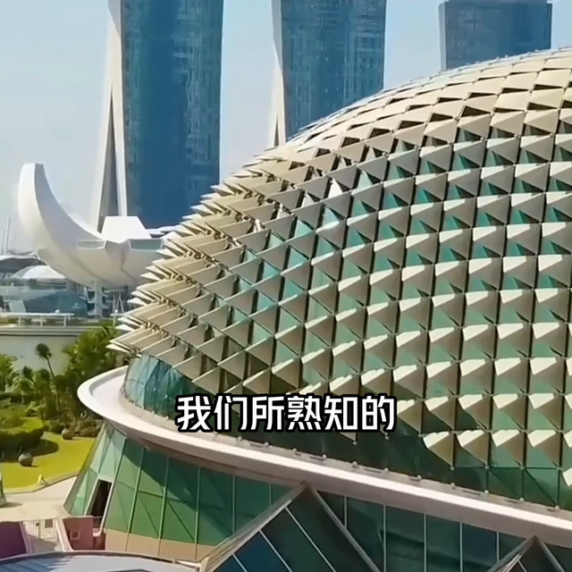 新加坡的移民方式有哪些？ #投资移民#海外生活#护照#移民