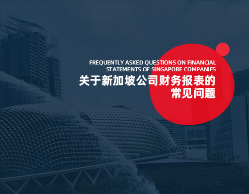 关于新加坡公司财务报表