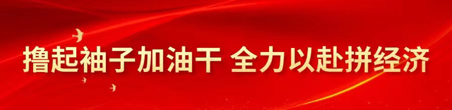 跨越山和大海，牵手国际能源链主 武侯区赴新加坡专题招商