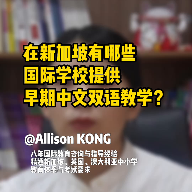 在新加坡，有哪些国际学校提供早期中文双语教学？#新加坡...