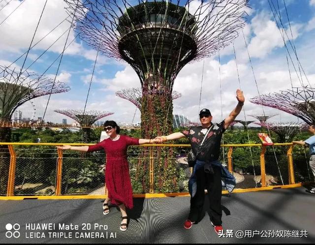 酱油叫“酱清”：全世界唯福建漳州与新加坡以此为名，渊源道分明