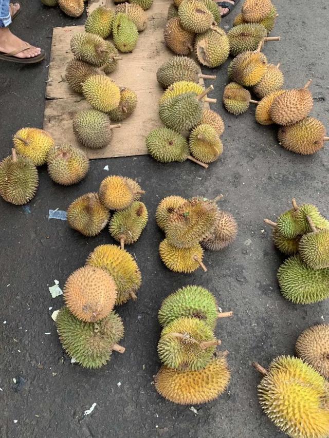 旅途中的美好：马来西亚仙本那海岛风光和海鲜