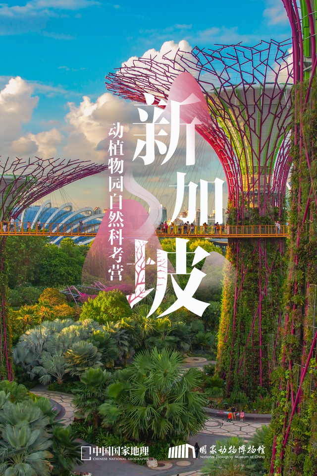 新加坡动植物园自然科考营（第二期）丨活动报名