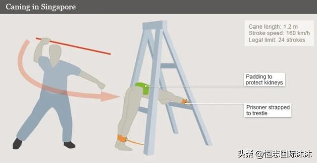 1.3亿人围观这国鞭刑，美国总统求情都没用！网友呼吁引进到中国