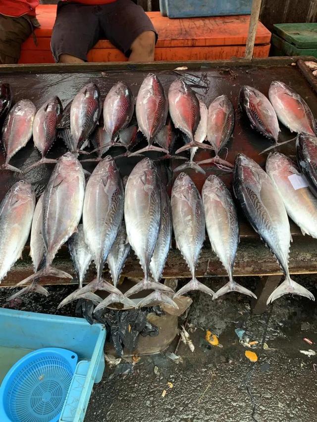 旅途中的美好：马来西亚仙本那海岛风光和海鲜