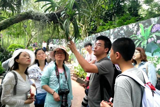 新加坡动植物园自然科考营（第二期）丨活动报名