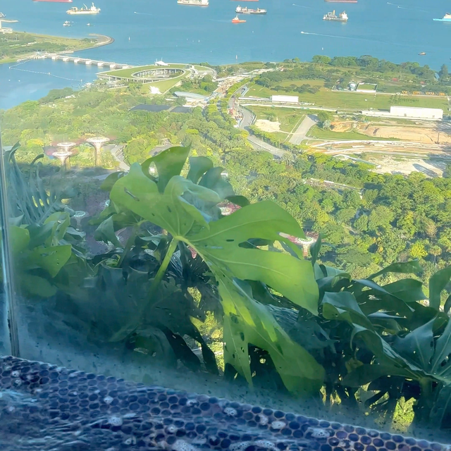 对于新加坡，你又了解多少呢，我们来看看~#签注