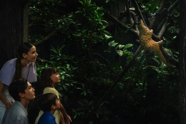 新加坡动植物园自然科考营丨活动报名