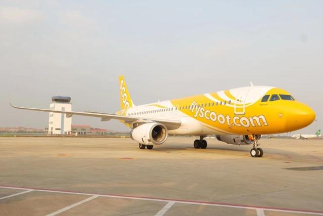 宁波⇋新加坡，复飞！