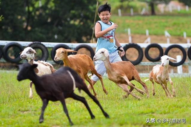 马来西亚的UK休闲农场：以生态农业体验为特色的园区典范