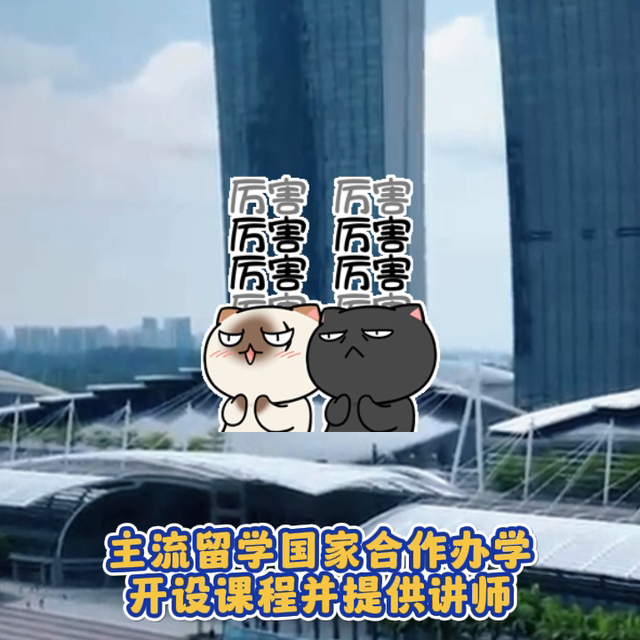 你对新加坡私立大学了解吗？ #新加坡私立大学