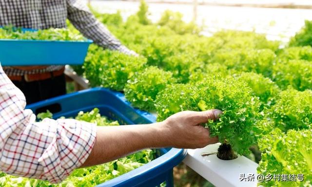 马来西亚的UK休闲农场：以生态农业体验为特色的园区典范